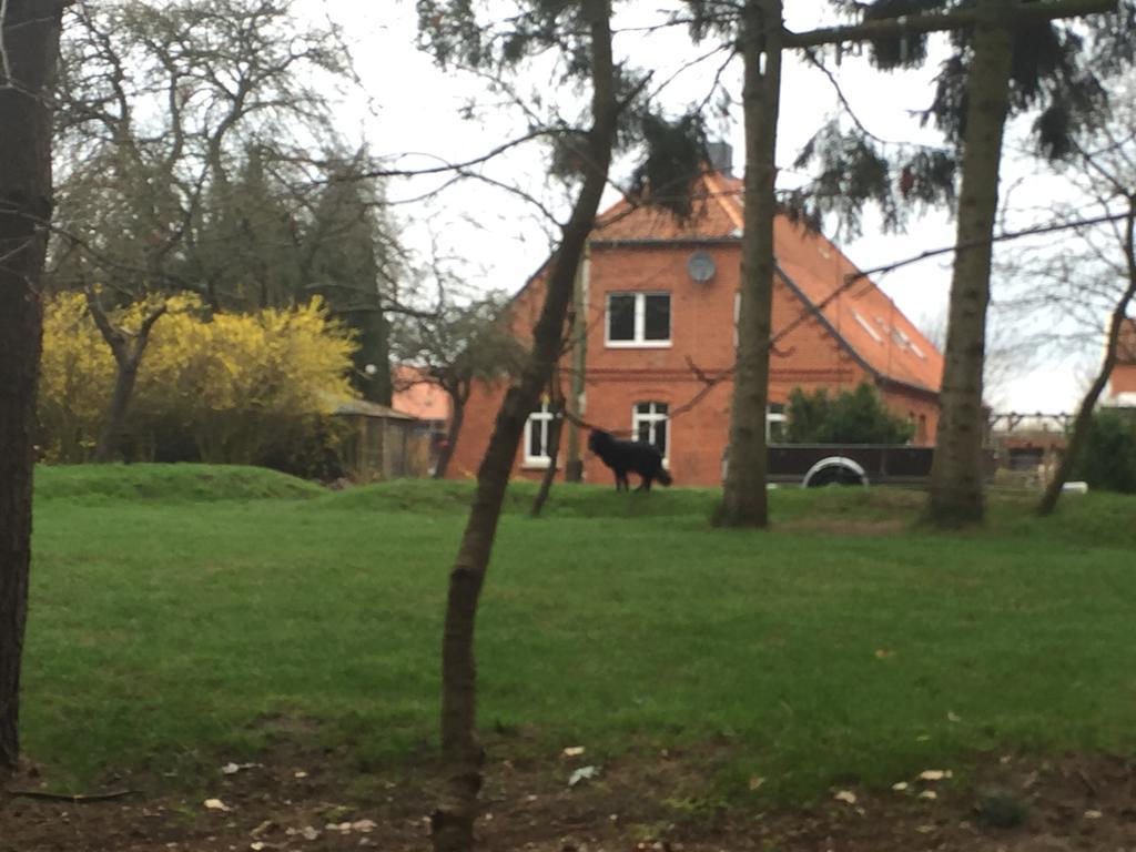 Ferienwohnung Garten Eben Rullstorf Exteriör bild